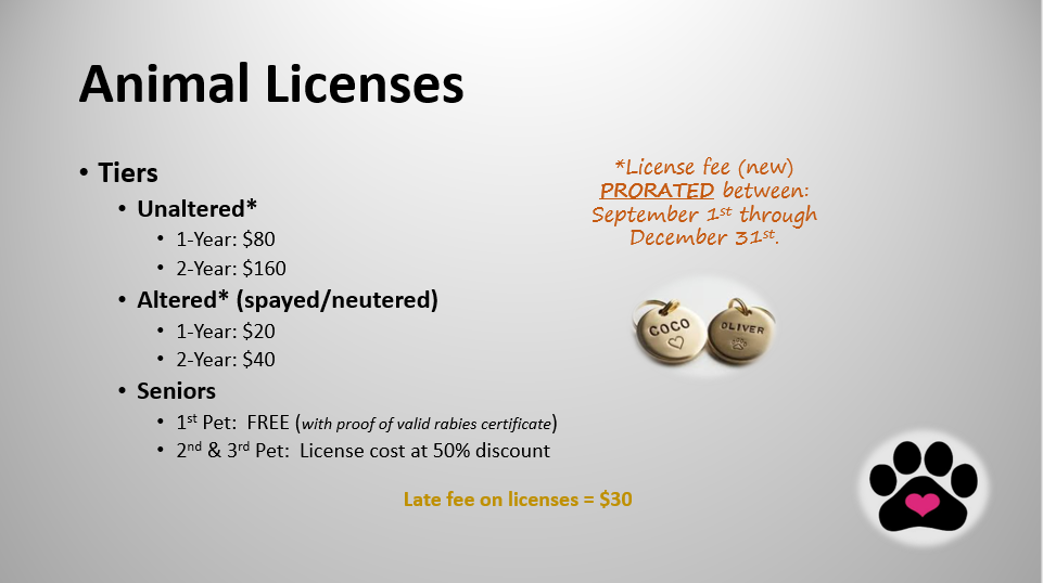 County clearance dog tags