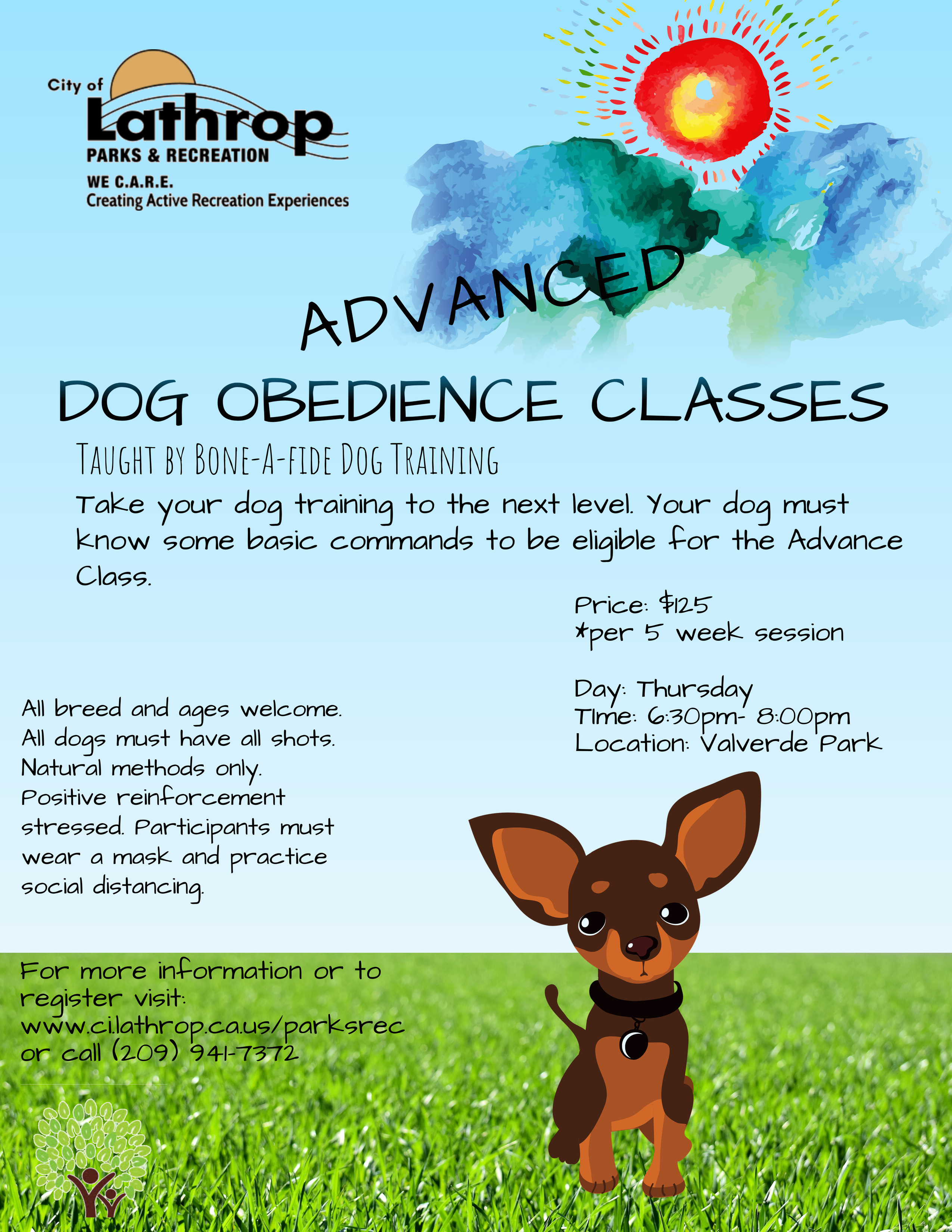 Advanced Dog Obedience Classes City of Lathrop CA