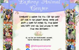 Lathrop Animal Center Easter 2026 Adoption Flyer 