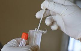 Picture of Laboratory Technician's hands holding a test tube and swap