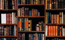 Library book cases filled with books