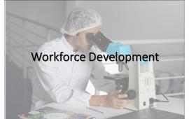 Workforce Development 