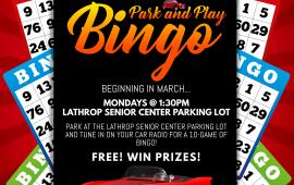 Senior Park and Play Bingo Flyer