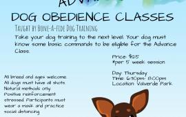 Advanced Dog Obedience Classes
