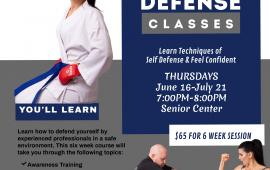 Adult Self Defense
