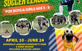 Youth Soccer League