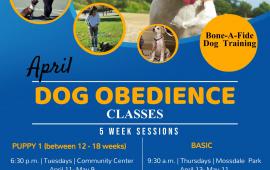 Dog Training - Classes
