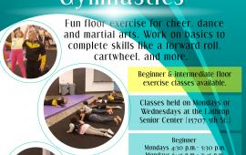 Vega's Gymnastics Beginner & Intermediate | Mon or Wed | located at Senior Center 15707 Fifth Street | $100 per month