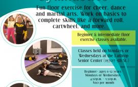 Vega's Gymnastics | Beginner | Intermediate | Private Lessons | Mon or Wed | located at Senior Center 15707 Fifth Street 