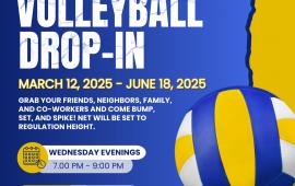 Adult Volleyball Drop-In | 15557 Fifth Street | March 12 - June 18 | Wednesdays | 7PM -9PM | Punch Card Available 