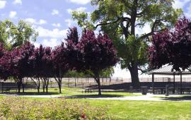 River Park South