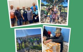 Photo collage with four different pictures featuring volunteer groups. 