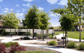Basin Park