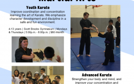 Martial Arts Fkyer