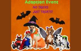Image of the Pups & Pumpkins Event for the Lathrop Animal Center on October 26, 2024