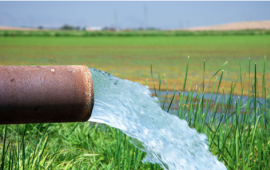 Groundwater over field of green grass