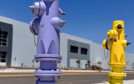 purple and yellow fire hydrants in front of a building