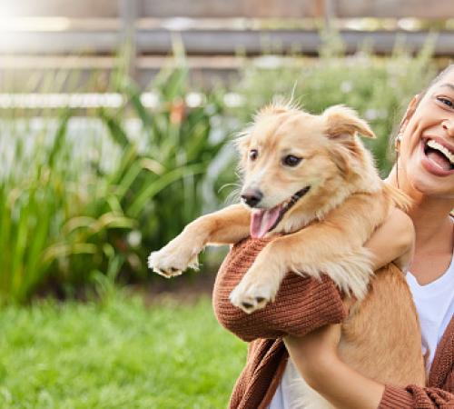 Image of lady holding a newly adopted golden retriever dog. Both lady and dog appear joyful.