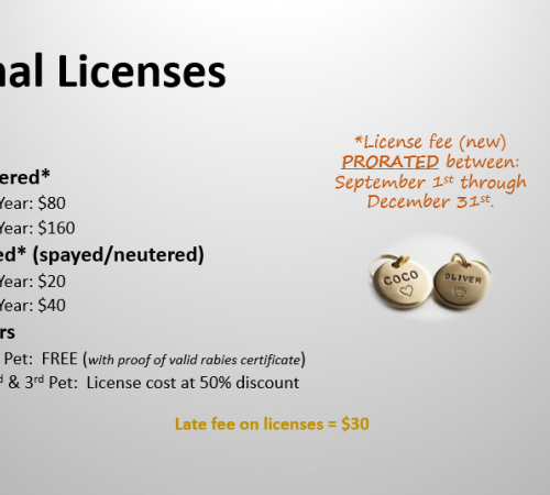 Animal License Fees