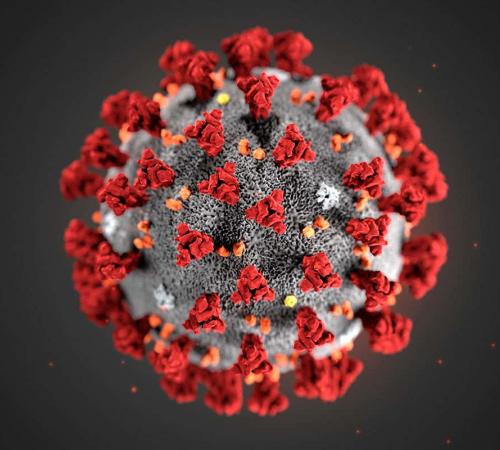 Coronavirus Disease (COVID-19) - Virus Image