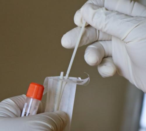 Picture of Laboratory Technician's hands holding a test tube and swap