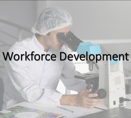 Workforce Development 