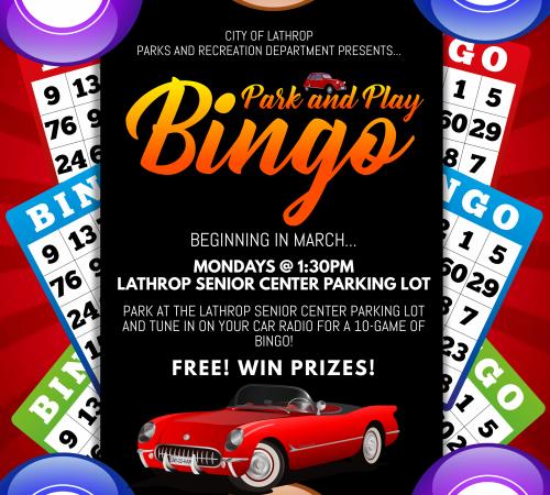 Senior Park and Play Bingo Flyer
