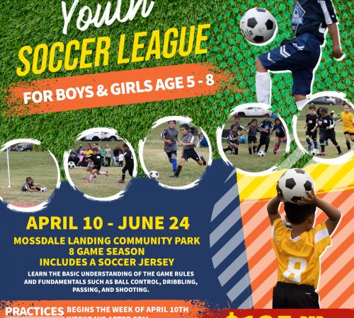 Youth Soccer League