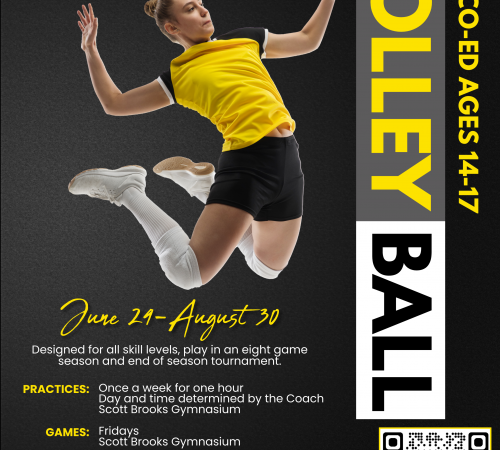 Teen Volleyball | Ages 14-17 CO-ED| $135 | Scott Brooks Gym 15557 5th St | Games on Friday Nights