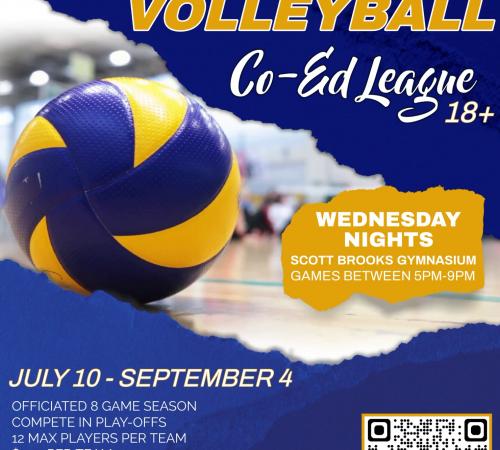 Adult Volleyball | CO-ED League | Wed Eves | Scott Brooks Gym 15557 5th St | Jul 8 - Sep 4 | $400 Per Team