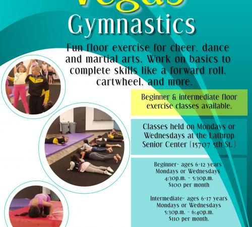Vega's Gymnastics | Beginner | Intermediate | Private Lessons | Mon or Wed | located at Senior Center 15707 Fifth Street 