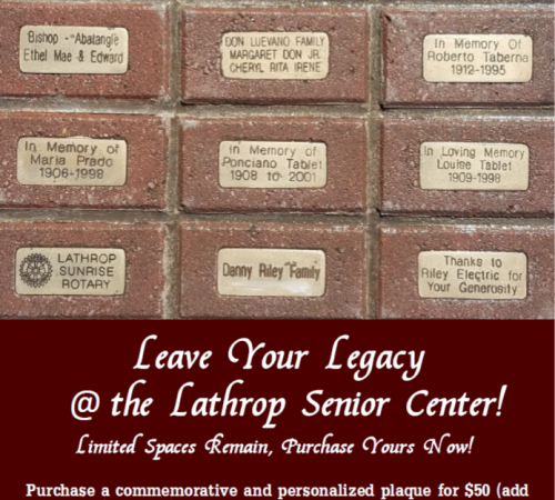 Senior Brick Fundraiser Flyer