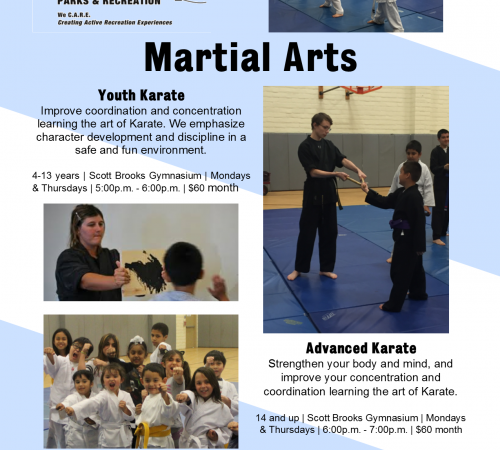 Martial Arts Fkyer