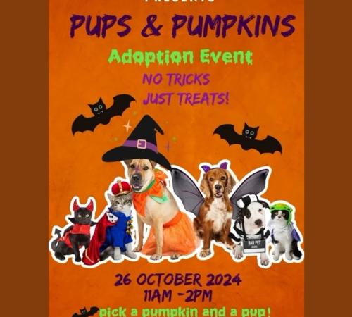 Image of the Pups & Pumpkins Event for the Lathrop Animal Center on October 26, 2024