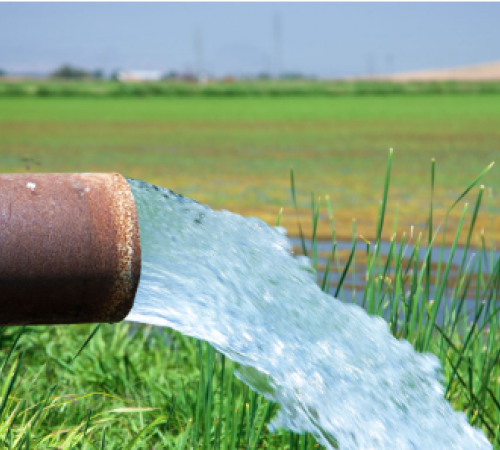 Groundwater over field of green grass