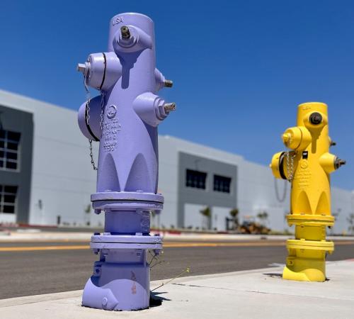 purple and yellow fire hydrants in front of a building