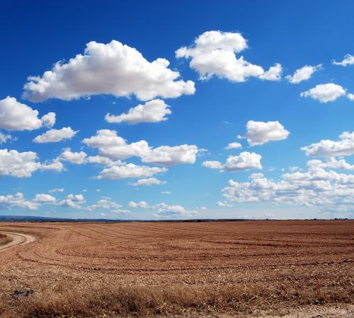 brown field and blue sky