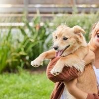 Image of lady holding a newly adopted golden retriever dog. Both lady and dog appear joyful.