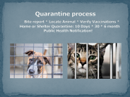 Quarantine Process
