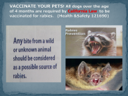 Vaccinate Your Pet Law