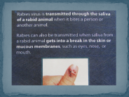 How Rabies is Transmitted