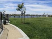 Green Grass Area and Tree in Small Dog Enclosure at River Islands Dog Park