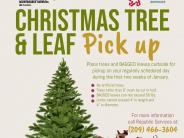 Christmas Tree & Leaf Pick up | regularly schedule day during the first two weeks of January 