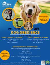 Dog Obedience | 5 week sessions | located at 2 centers in town please see flyer for more info