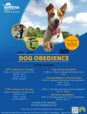Dog Obedience | 5 week sessions or 1 day workshops | located at 2 centers in town please see flyer for more info