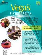 Vega's Gymnastics Beginner & Intermediate | Mon or Wed | located at Senior Center 15707 Fifth Street | $100 per month