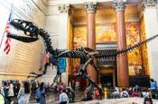 Smithsonian