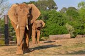 San Diego Zoo