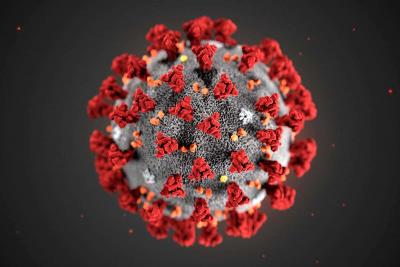 Coronavirus Disease (COVID-19) - Virus Image