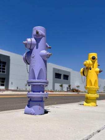 purple and yellow fire hydrants in front of a building